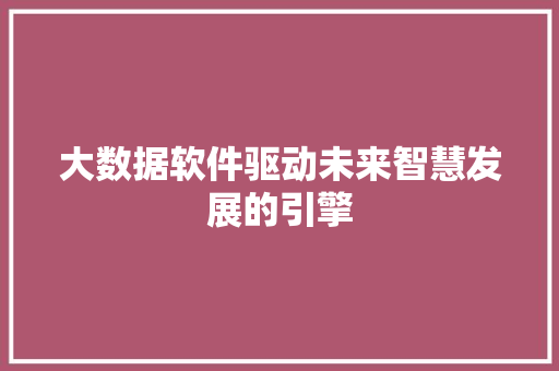 大数据软件驱动未来智慧发展的引擎