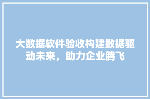 大数据软件验收构建数据驱动未来，助力企业腾飞