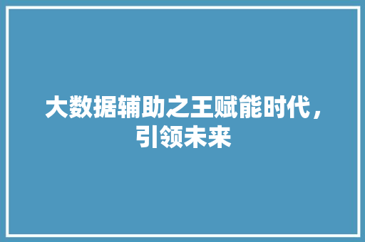 大数据辅助之王赋能时代，引领未来  第1张