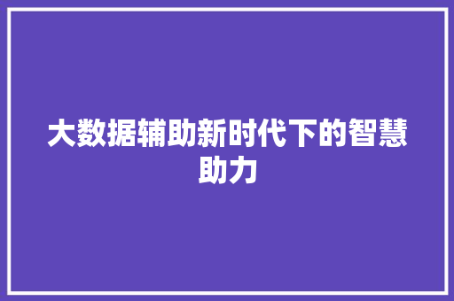 大数据辅助新时代下的智慧助力