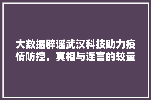 大数据辟谣武汉科技助力疫情防控，真相与谣言的较量