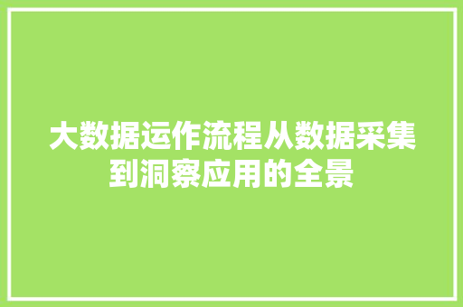 大数据运作流程从数据采集到洞察应用的全景  第1张