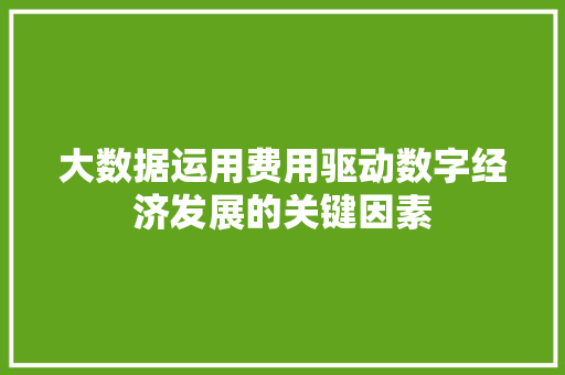 大数据运用费用驱动数字经济发展的关键因素