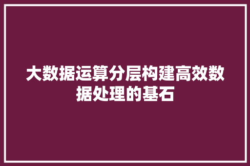 大数据运算分层构建高效数据处理的基石