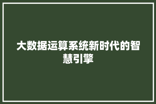 大数据运算系统新时代的智慧引擎  第1张