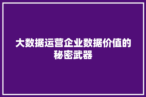 大数据运营企业数据价值的秘密武器  第1张
