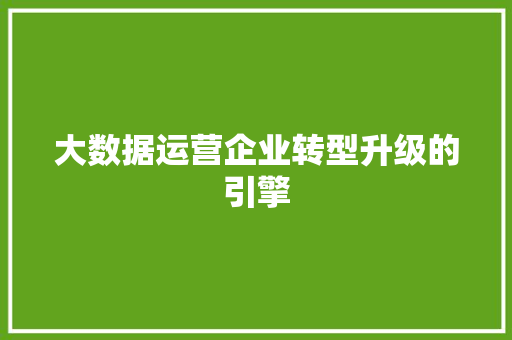 大数据运营企业转型升级的引擎  第1张
