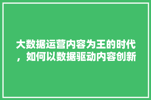 大数据运营内容为王的时代，如何以数据驱动内容创新  第1张