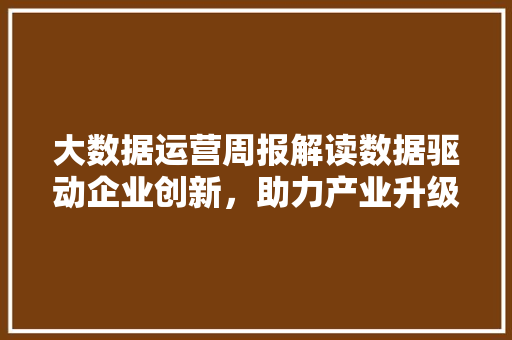 大数据运营周报解读数据驱动企业创新，助力产业升级