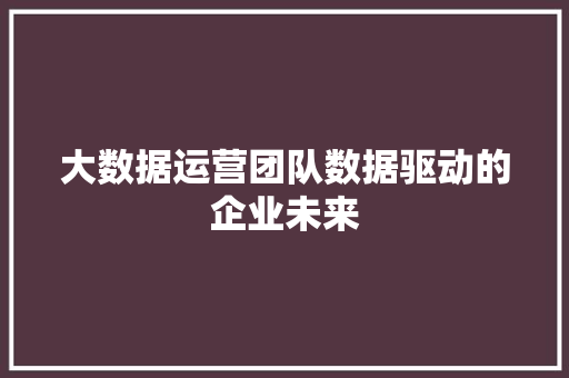 大数据运营团队数据驱动的企业未来  第1张