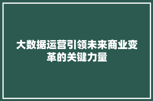 大数据运营引领未来商业变革的关键力量