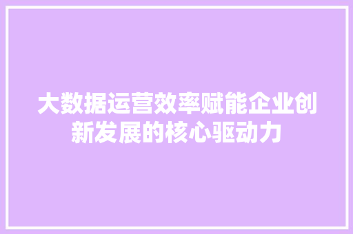 大数据运营效率赋能企业创新发展的核心驱动力  第1张