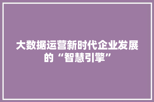 大数据运营新时代企业发展的“智慧引擎”  第1张