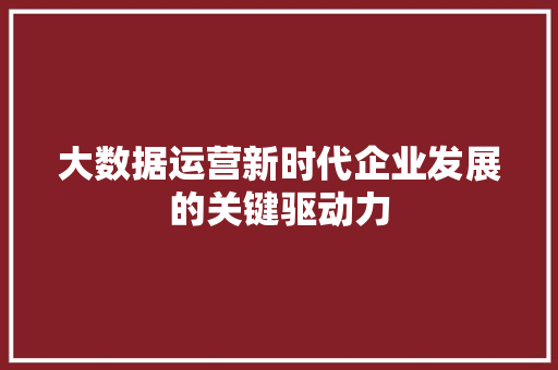 大数据运营新时代企业发展的关键驱动力