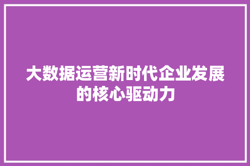 大数据运营新时代企业发展的核心驱动力