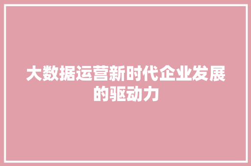 大数据运营新时代企业发展的驱动力  第1张
