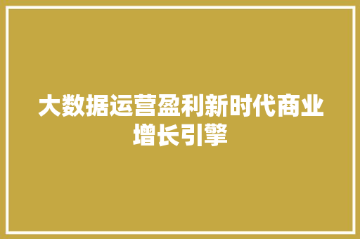 大数据运营盈利新时代商业增长引擎