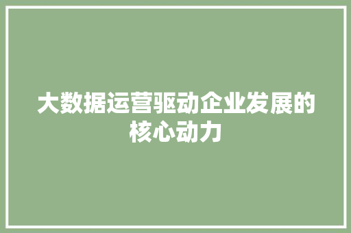 大数据运营驱动企业发展的核心动力  第1张