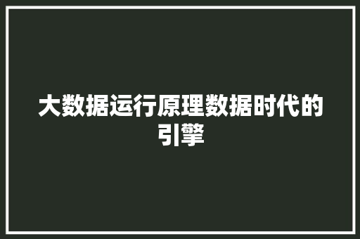 大数据运行原理数据时代的引擎  第1张