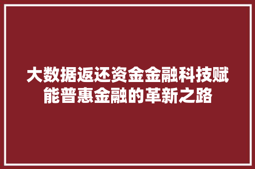 大数据返还资金金融科技赋能普惠金融的革新之路