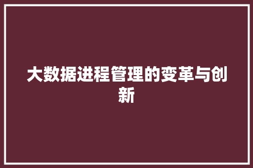 大数据进程管理的变革与创新