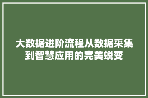 大数据进阶流程从数据采集到智慧应用的完美蜕变