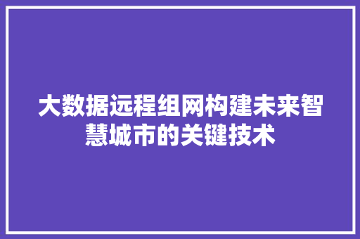 大数据远程组网构建未来智慧城市的关键技术