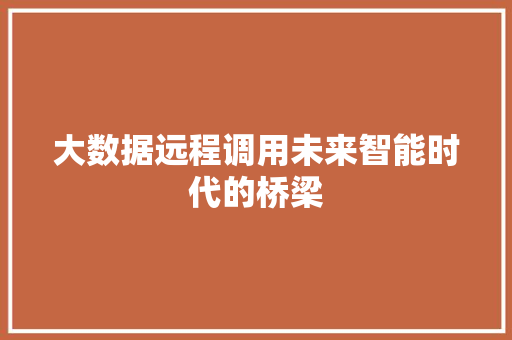 大数据远程调用未来智能时代的桥梁