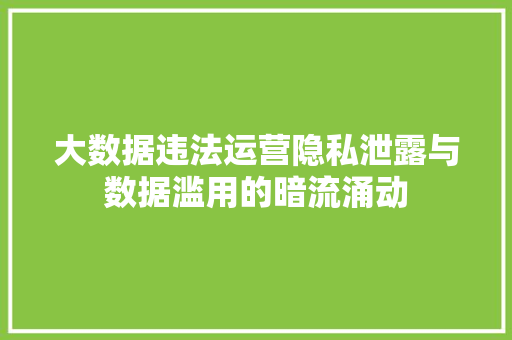 大数据违法运营隐私泄露与数据滥用的暗流涌动