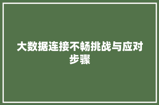 大数据连接不畅挑战与应对步骤