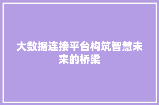 大数据连接平台构筑智慧未来的桥梁