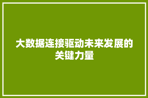 大数据连接驱动未来发展的关键力量
