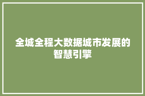 全城全程大数据城市发展的智慧引擎