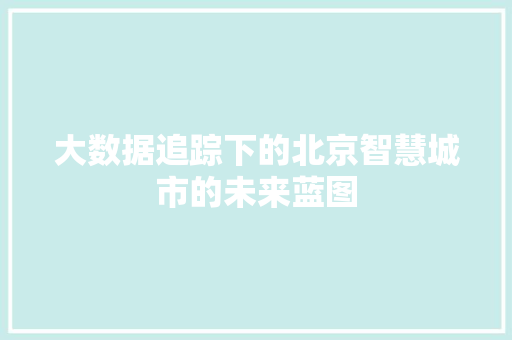 大数据追踪下的北京智慧城市的未来蓝图  第1张