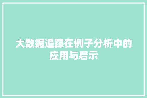 大数据追踪在例子分析中的应用与启示