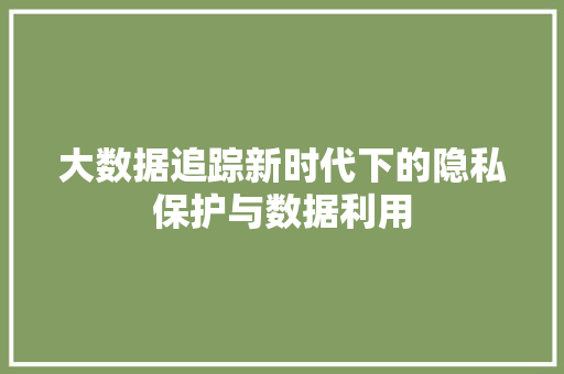 大数据追踪新时代下的隐私保护与数据利用