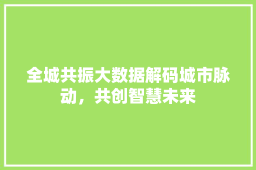 全城共振大数据解码城市脉动，共创智慧未来