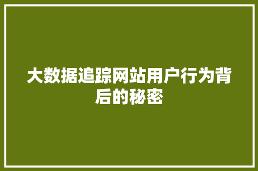 大数据追踪网站用户行为背后的秘密  第1张