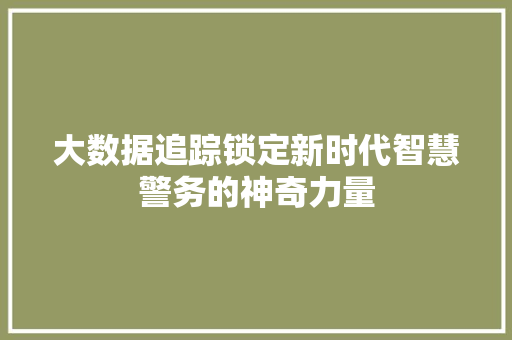 大数据追踪锁定新时代智慧警务的神奇力量