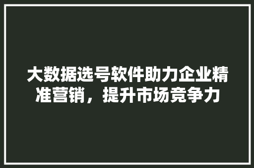 大数据选号软件助力企业精准营销，提升市场竞争力  第1张