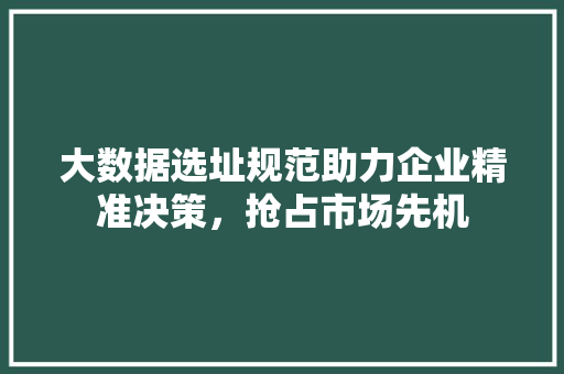 大数据选址规范助力企业精准决策，抢占市场先机