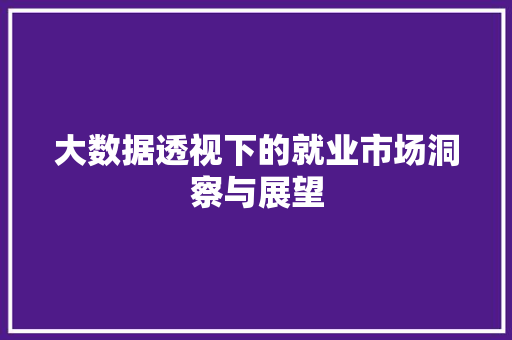 大数据透视下的就业市场洞察与展望