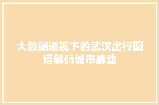 大数据透视下的武汉出行图谱解码城市脉动  第1张
