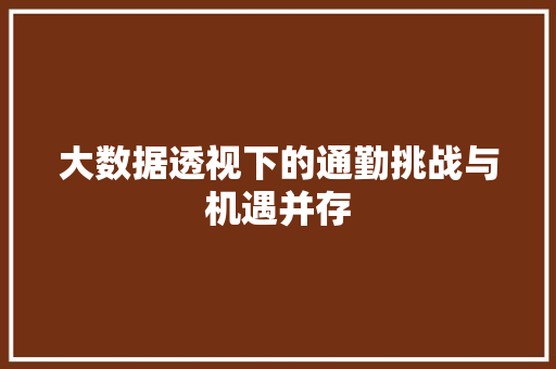 大数据透视下的通勤挑战与机遇并存