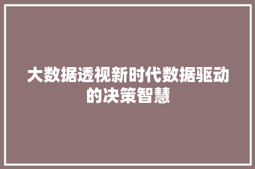 大数据透视新时代数据驱动的决策智慧