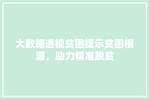 大数据透视贫困提示贫困根源，助力精准脱贫
