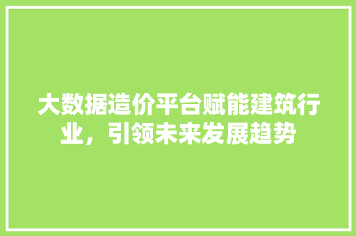 大数据造价平台赋能建筑行业，引领未来发展趋势