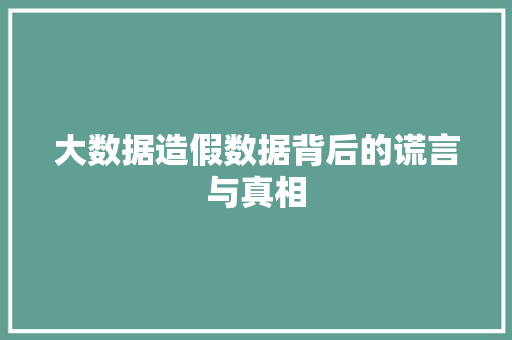 大数据造假数据背后的谎言与真相