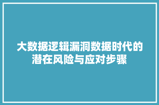 大数据逻辑漏洞数据时代的潜在风险与应对步骤