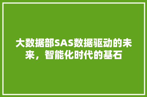 大数据部SAS数据驱动的未来，智能化时代的基石